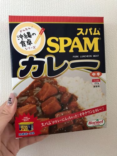 223 スパムカレー