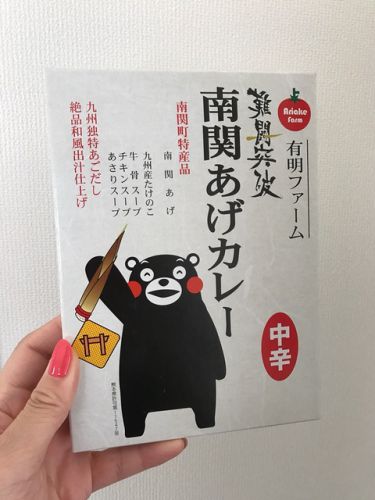 242 南関あげカレー