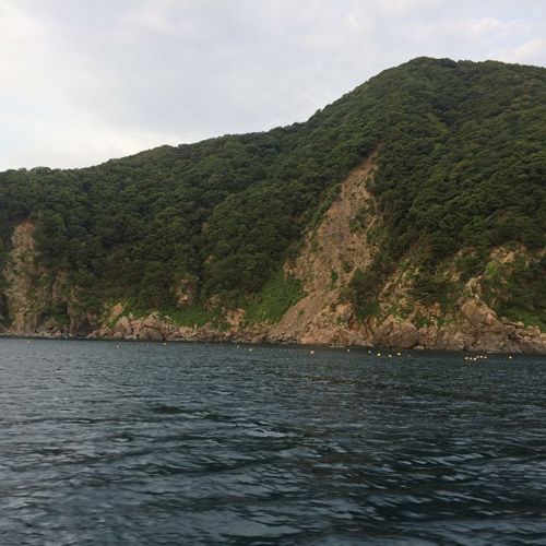 おはようございます︎昨日は休みを戴き趣味の魚突きに行かせて頂きましたまだまだ初心者ですが頑張った結果…石鯛、メバル、ハタグレ…計五匹をゲット︎アクティブな友達も大漁でした︎夜は梅田の料理屋さん酒楽いのうえさんで調理をして頂き美味しく胃の中に納めました幸せ(笑)今週はバタバタと私用で中々お店には居てませんが来週はフル出勤しますのでご容赦下さいね今日も暑いですがみんなファイトで〜! #お腹いっぱい #げんきカレー #協力雇用主会 #げんき屋デイ #みんなの力で #小さなボランティア #西天満 #200円カレー #魚突き