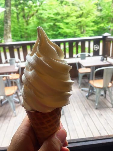氷壁の宿 徳澤園の食事&カフェレポート ソフトクリーム・カレー・厚切りトースト・宿泊時の食事からお弁当まで