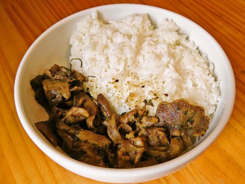 [2017.04.30] Curry カイエン「ホエー豚ホルモン＆モツのパダンカレー」