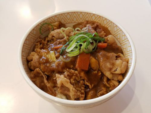 すき家 カレー南蛮牛丼