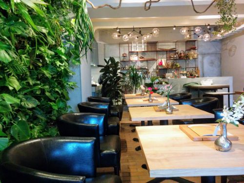 SAPPORO FLOWER &CAFE (サッポロ・フラワー&カフェ)【札幌円山】◆花と緑に囲まれて非日常のカレーランチ!