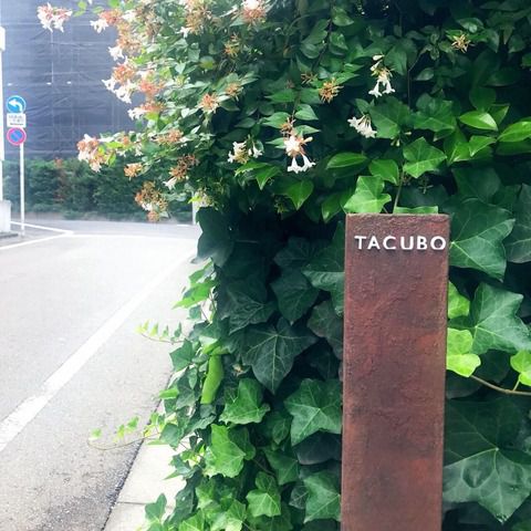 【2年連続1つ星獲得!】カレーマンがスーパー大好きなイタリアン「TACUBO」(代官山/イタリアン・薪焼き)