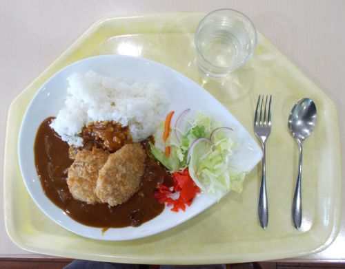 【学食のカレー】神奈川工科大 第4食堂 ヒレカツカレー 2014/11
