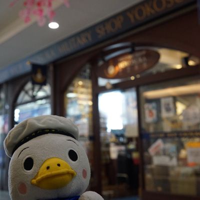 34分舐められる(スカレー調査)キャンディが登場しました!