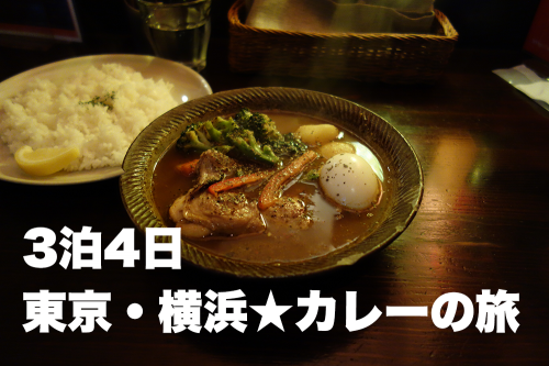 3泊4日でカレーの旅へ。トータル7食のカレーをご紹介します!