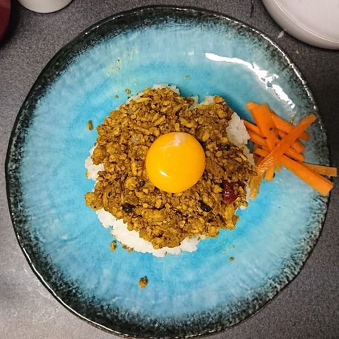 インドビザと鶏キーマカレー(How toではありません)
