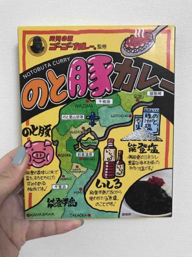 291 のと豚カレー