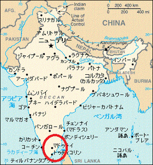 チェティナード・チキンカレー