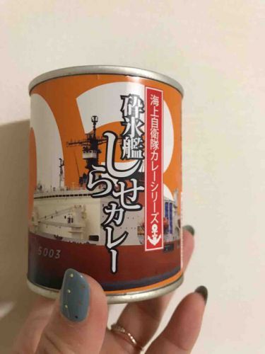 294 破水艦しらせカレー