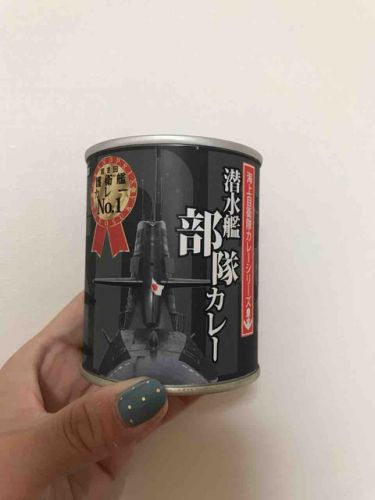 296 潜水艦部隊カレー