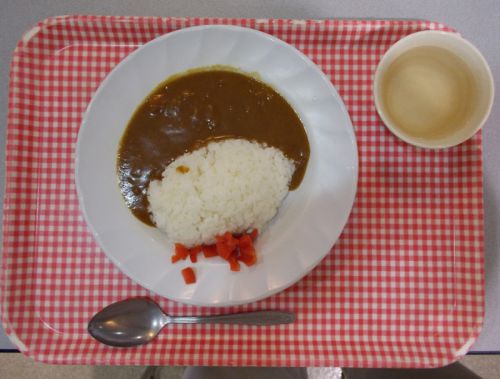 【学食のカレー】山口大学 吉田キャンパス 第二食堂 きらら カレーライス&カツカレー 2015/10