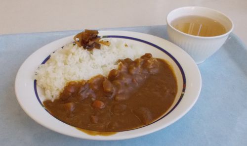 【学食のカレー】岡山大学 マスカット 手作りカレー 2015/7
