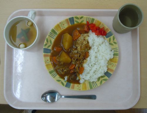 武蔵野大学 武蔵野キャンパス 6号館大学食堂 カレーライス 2017/9