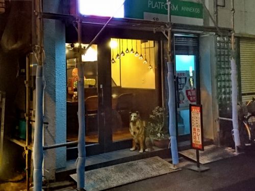 No.106 激辛カレーの原点「ボルツ」でカレーを喰らう
