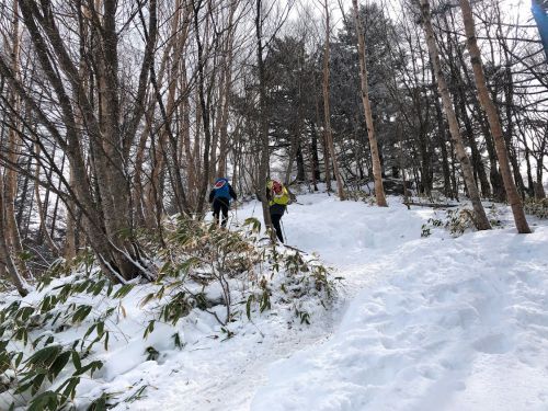 【冬限定!】マナスル山荘本館のカレーバイキングを楽しみに入笠山に登る山旅【土日祝日限定】