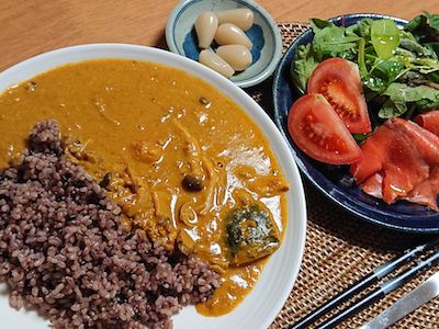 連日の家カレー