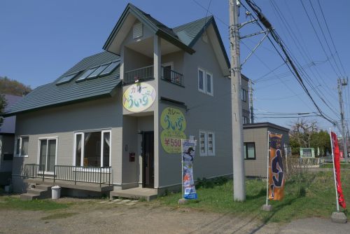 シンプルだけどちょっとだけ個性のある酸味カレーでした。