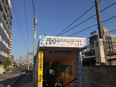 翔んで埼玉海鮮食堂でカキフライカレー。「大衆食堂 築地屋」(春日部)