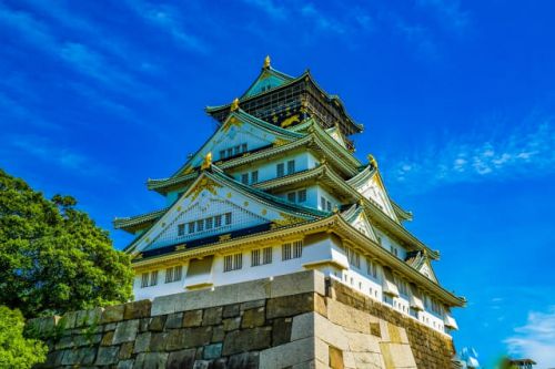 【なろう系】戦国時代の日本でカレーが生まれた歴史小説5選