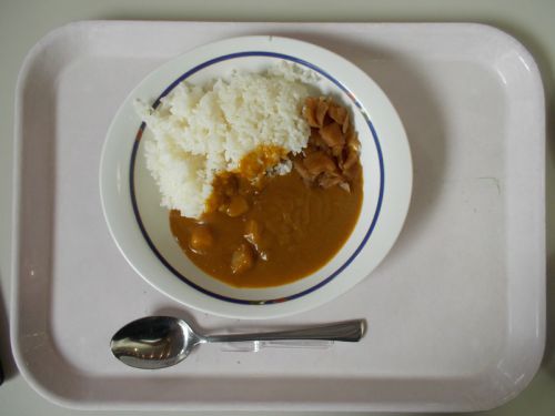 【学食のカレー】早稲田大学 所沢キャンパス 学生食堂 2019/8