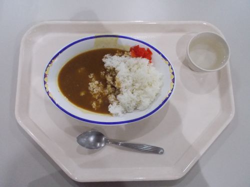 【学食のカレー】東筑豊短期大学・九州栄養福祉大学 小倉北区キャンパス 学生食堂 レポ日(2019/11)