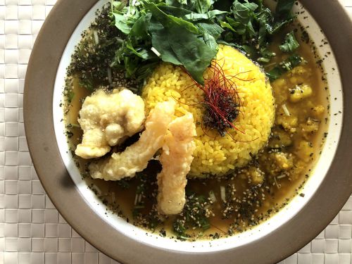 『SPICE CURRY ジョナカレー』~印のスパイス×洋の出汁感×和の天ぷら!!とび抜けた個性の西中島・新星間借りカレー☆~
