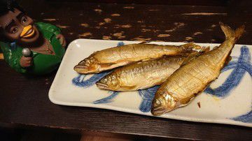 俺の鮎皮まるごと&ヤマメ快調カレー 9.4-9.5