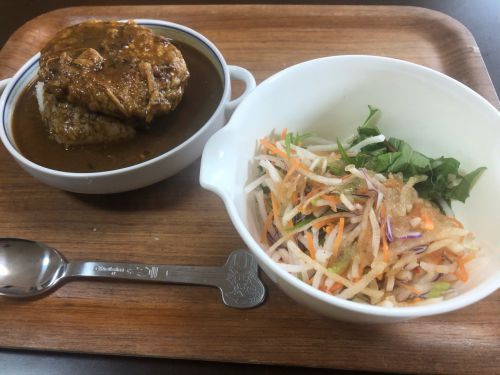例の全部入りカレー、ハンバーグのせ