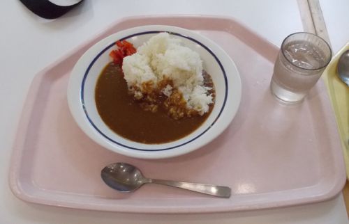 【学食のカレー】桃山学院大学 聖マーガレット館 M食堂 鶏MOMOカツマウンテンカレー と 普通のカレーライス レポ日19/08