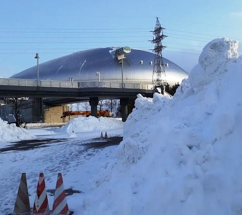 札幌ドーム 頑固オヤジのカレー(3)