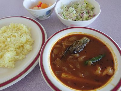 スープカレーとももクロとドラマとブログ