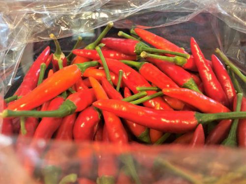 6月オープン新店「オームタイテースト」(日暮里)で「タレーパッポンカリー」と「トムヤムクン」(※タイハーブや野菜にもこだわりがー)