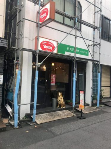 カレーハウス ボルツ 旨味の掛け算に辛さを組みあわせれば・・・うまい!