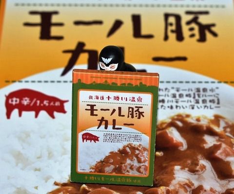 北海道十勝川温泉 モール豚カレー(2回目)