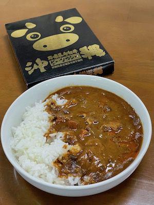 やはりカレーは素晴らしい