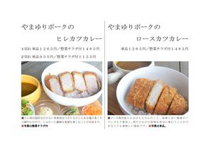 カツカレーの写真連投