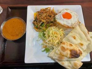 カレー日記(ミニインドレストラン)