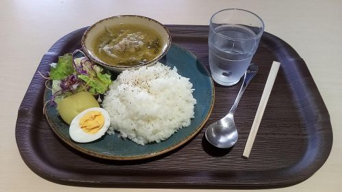 【学食のカレー】山口大学 吉田キャンパス FAVO-Cafe グリーンカレー レポ日22/07