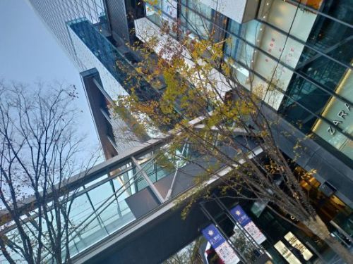 グランフロント北館地下1階の世界のビール博物館でワンコイン500円の自家製カレー食べ放題ランチ!